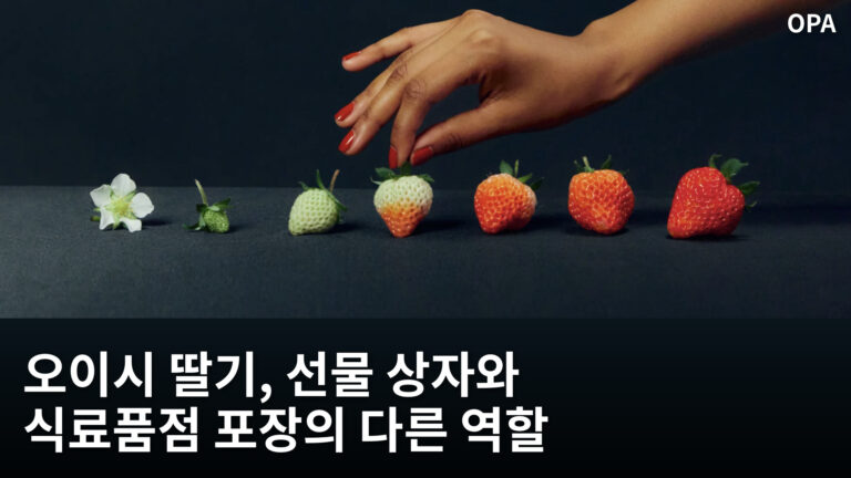 꽃부터 붉게 익은 열매까지 일렬로 놓인 오이시 딸기와 손