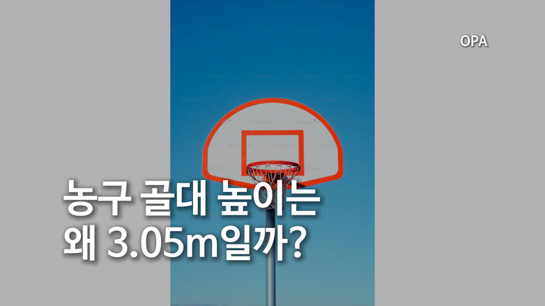 농구 골대는 왜 3.05m일까?