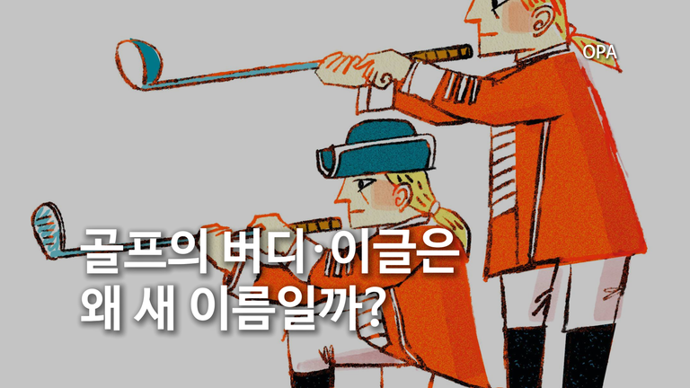 골프의 버디·이글은 왜 새 이름일까?