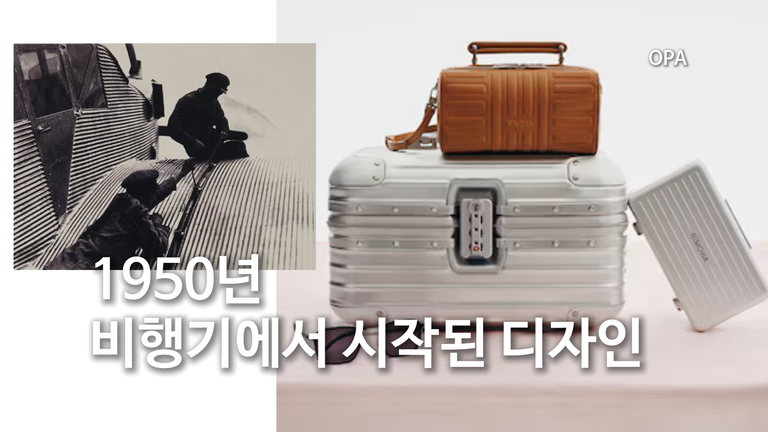 1950년 비행기에서 시작된 디자인