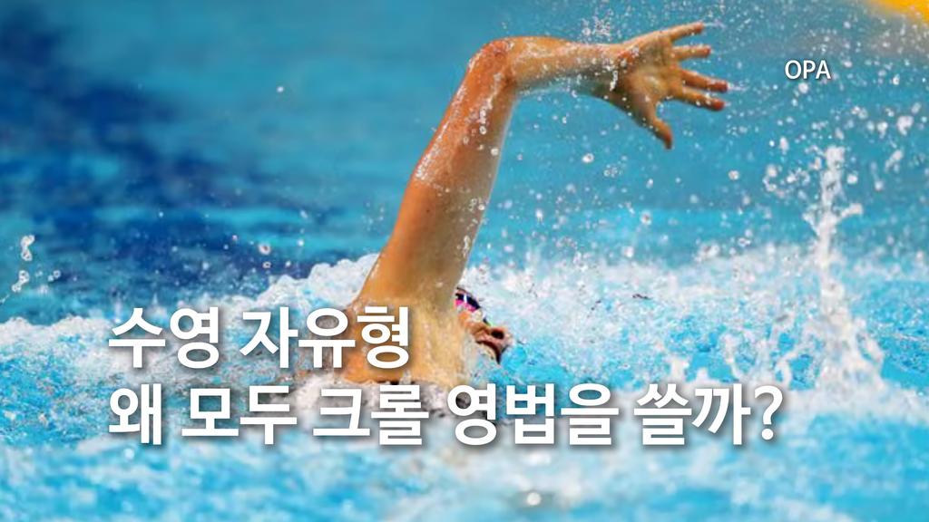 자유형인데 왜 모두 크롤 영법을 쓸까?