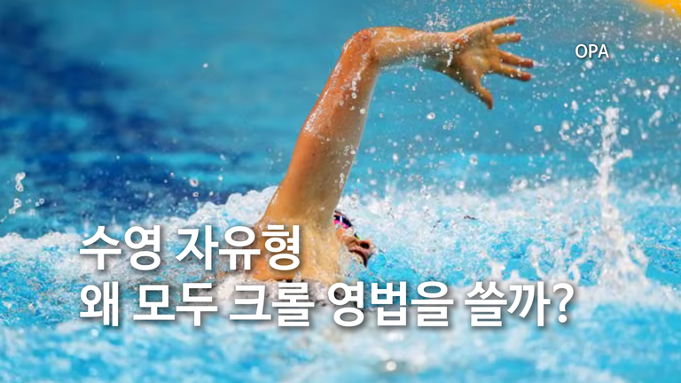 자유형인데 왜 모두 크롤 영법을 쓸까?