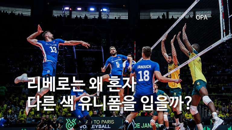리베로는 왜 혼자 다른 색 유니폼을 입을까?