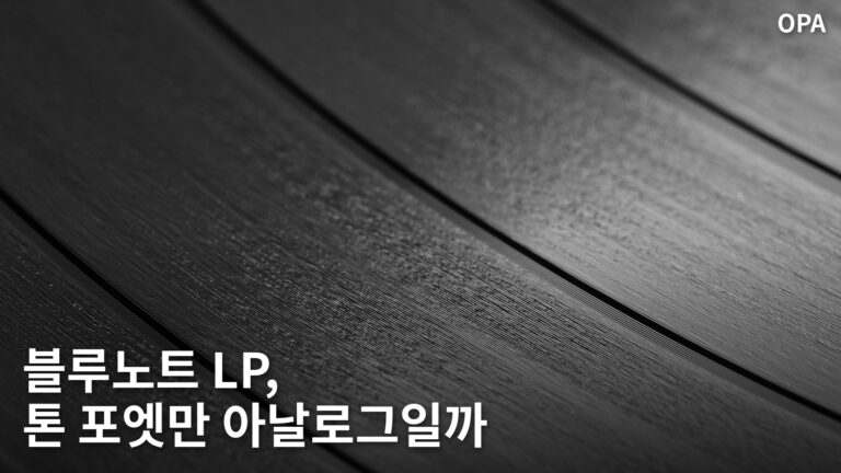 12인치 LP 레코드 표면의 촘촘한 소리골을 확대한 흑백 사진